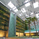 The green wall in Terminal 3.